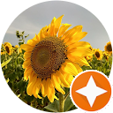 Tatjana Weingart profile picture